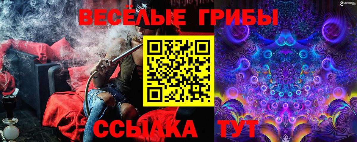 Реутов  Галлюциногенные грибы ЛСД  Вход с VPN 
