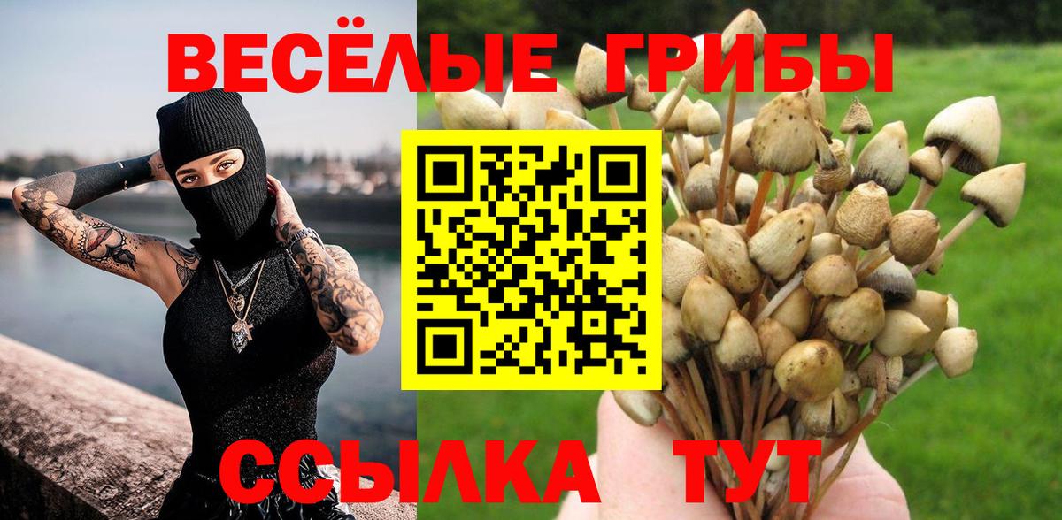 Псилоцибиновые грибы прущие грибы Реутов